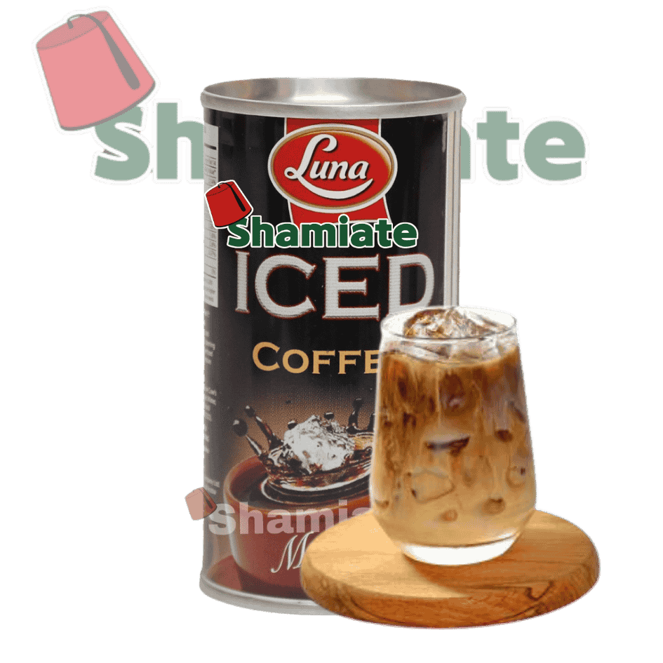 Iced Coffee (Luna, Mocha, 290 ml, 24 Pieces)