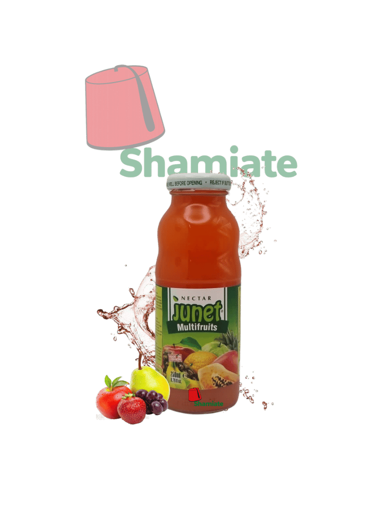 Jus Multifruits (Junet, 250 ml, 24 Pièces) 