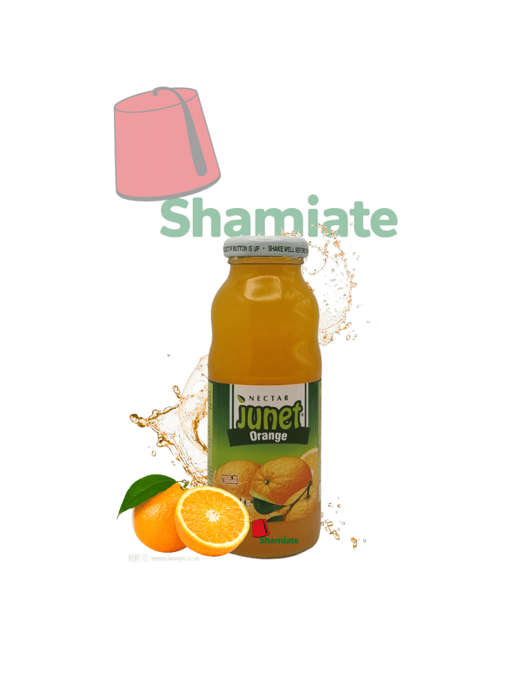 Jus d'Orange (Junet, 250 ml, 24 Pièces) 