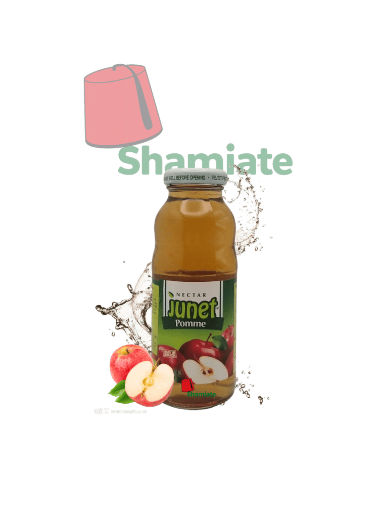 Jus de Pomme (Junet, 250 ml, 24 Pièces) 
