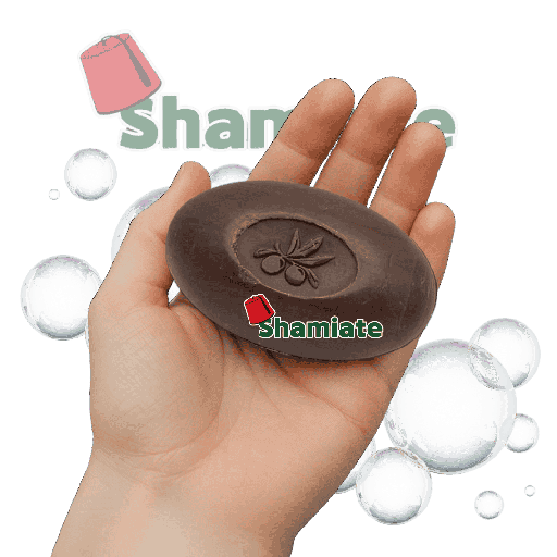 [001696 Savon D'Alep (Bakhour Maryam, Naturel à L'huile d'olive et le parfum d'Aoud et D'Ambre, 140 gm, 1 Pièces) Savon D'Alep (Bakhour Maryam, Naturel à L'huile d'olive et le parfum d'Aoud et D'Ambre, 140 gm, 1 Pièces) Savon D'Alep (Bakhour Maryam, Naturel a L'huile d'olive et le parfum d'Aoud et D'Ambre, 140 gm, 1 Pieces)Savon D'Alep (Bakhour Maryam, Naturel à L'huile d'olive et le parfum d'Aoud et D'Ambre, 140 gm, 1 Pièces) ] Savon D'Alep (Bakhour Maryam, Naturel à L'huile d'olive et le parfum d'Aoud et D'Ambre, 140 gm, 1 Pièces)