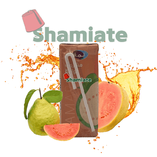 [001712 Drink (Lamar, Guava, 200 ml, 27 Pieces) Boisson (Lamar, Goyave, 200 ml, 27 Pièces) Boisson (Lamar, Goyave, 200 ml, 27 Pieces)مشروب (لمار، جوافة، 200 مل، 27 قطعة) ] Boisson (Lamar, Goyave, 200 ml, 27 Pièces)